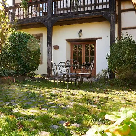 La Cour De Lise Et Willgottheim