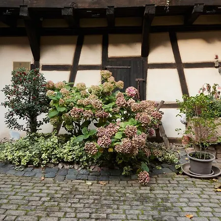 Gasthuis La Cour De Lise Willgottheim
