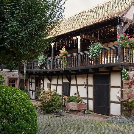 La Cour De Lise Et 3* Willgottheim