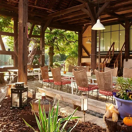 La Cour De Lise Et Guest house