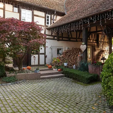 La Cour De Lise Et Guest house