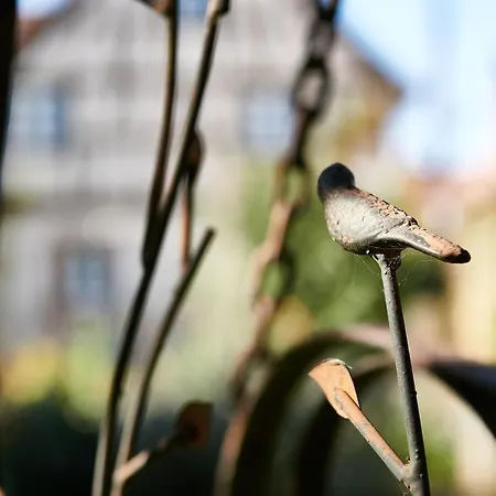 La Cour De Lise Et Gasthof