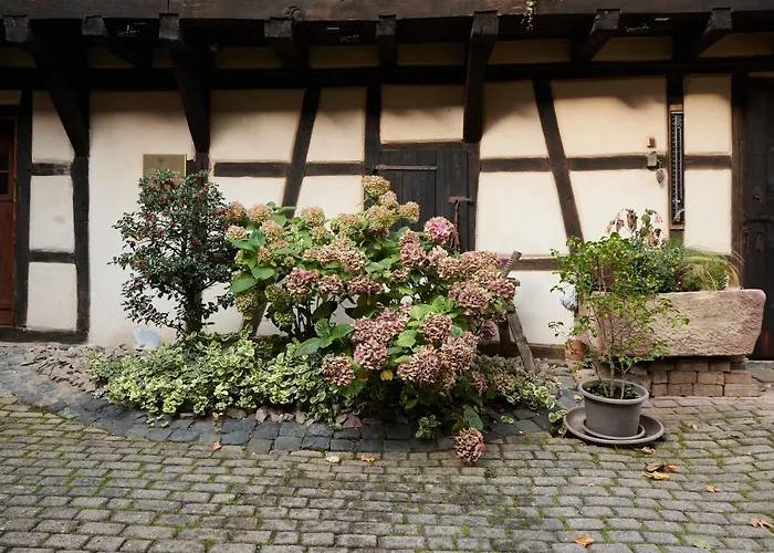 Gasthuis La Cour De Lise Willgottheim