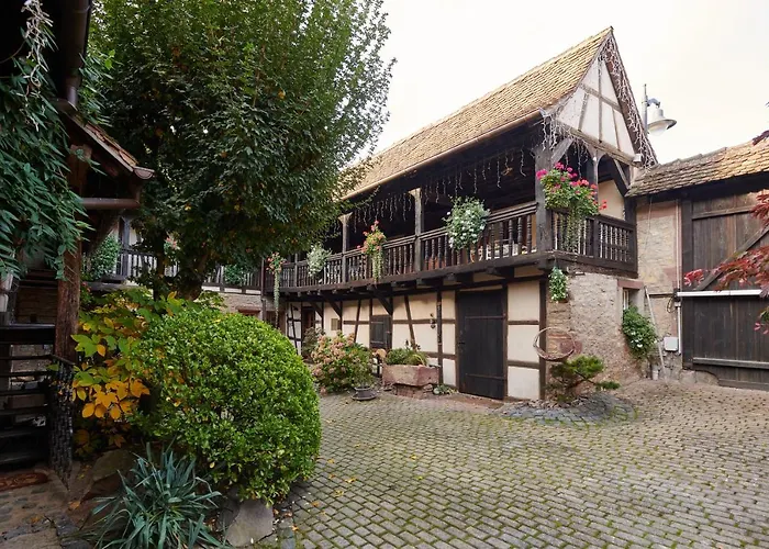 Gasthuis La Cour De Lise Willgottheim